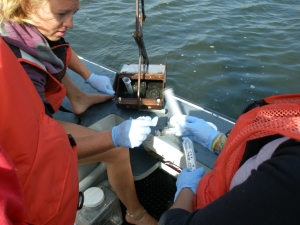 Collecting a sediment sample
